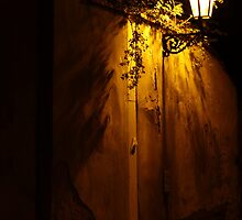 Prague Shadows by Ell-on-Wheels