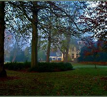 House in the wood by Janone