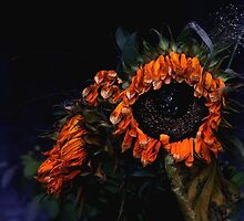 born to die by wiwi