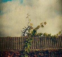 Obstacles by Laurie Search