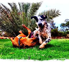 Outback Pups by Shaynelee