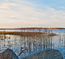 Worden's Pond - Series - NWb - Southern Rhode Island by Jack McCabe