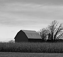 120711-41 by MICKSPIXPHOTOS