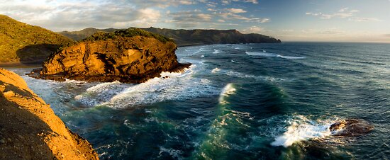 Wild West Coast by Michael Treloar Wild West Coast by Michael Treloar