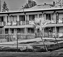 The Desert Sands Motel by Lenny La Rue, IPA