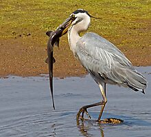 "Snack Time" by Michael Moss