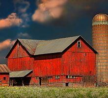 " Barn Mania " by canonman99