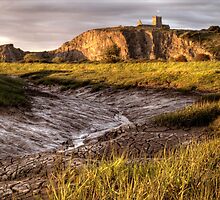 Uphill Pill - Somerset, England by Robert Down