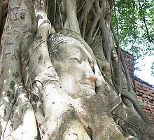 Buddha Head by BengLim