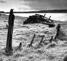 Wreck of the "Severn Collier" at Purton, Gloucestershire. by Robert Down