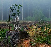 Hidden story 3 by Antanas