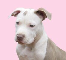 I'm So Sweet ~ by Ginny York