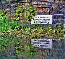 Sunk Without Trace by Colin Metcalf
