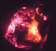 Can you tell its Flaming ? by TobiiBee