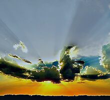 Where The Deer & The Antelope Play by Vince Scaglione
