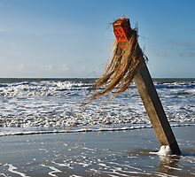 After the storm... (2) by Adri Padmos