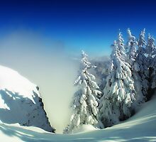 Frozen Morning by Dragos Dumitrascu