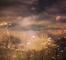 Saturday Morning by Mark Wade