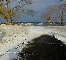 Just the right amount by john forrant