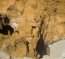 Baby Blowhole by Belinda Osgood