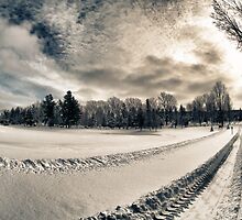 Cemetery Road by Robert Smith