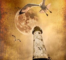 the lunar flight by meirionmatthias