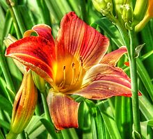 The Fairest of All by bannercgtl10