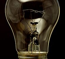 High Temp Appliance Bulb by Otto Danby II