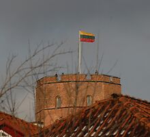 Lithuania 2 by Antanas