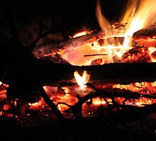 The heart of the fire. by Patricia Bixler