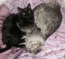 the comfy sleepers by Nora Fraser