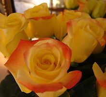 A love affair with roses by MarianBendeth