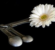 Add One Heaping Tablespoon of Flower by TeresaB