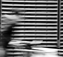 Move city by donato radatti