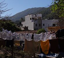 Washing In The Morning - Lavado En La Mañana by Bernhard Matejka