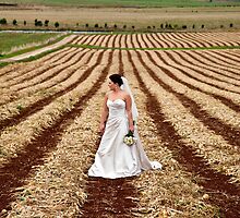 Bride on farm by Kathleen Hill