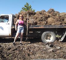 A lot of Manure by stirlingacre