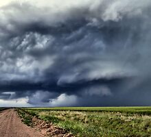 Oh Yeah, Toto, We're in Kansas! by wileyphotoart