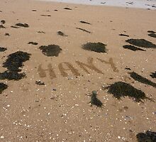 Guess Who Has Been To The Beach Again?? by Fara