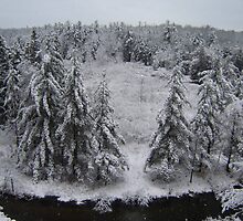 Manistee River Snow Globe by Sonya Lynn Potts
