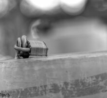 Padlocked by Karl F Davis