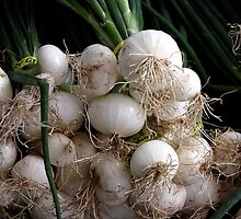 Onions by ZWC Photography