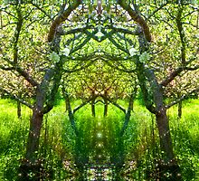 Fairy Arbor by Nansee Greenwitch