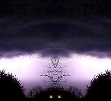 March 19 & 20 2012 Lightning Art 58 by dge357