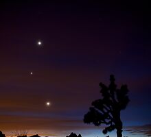 Brightest Lights by Troy Dalmasso