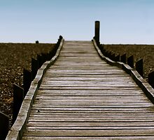 Dungeness Walkway by Ashley Beolens