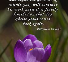 Philippians 1:6 by Deborah McLain