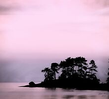 A Moment Of Tranquility by Gail Bridger