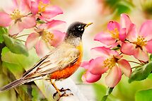 WON the ' BIRDS BIRDS BIRDS...$20 VOUCHER ' challenge of group 'ALL ABOUT GARDENS' WON the ' BIRDS BIRDS BIRDS...$20 VOUCHER ' challenge of group 'ALL ABOUT GARDENS'