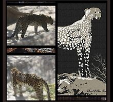 CHEETAH-DO READ THE LIFE STORY OF THIS CHEETAH dedicated to endangered animal by Sherri Nicholas